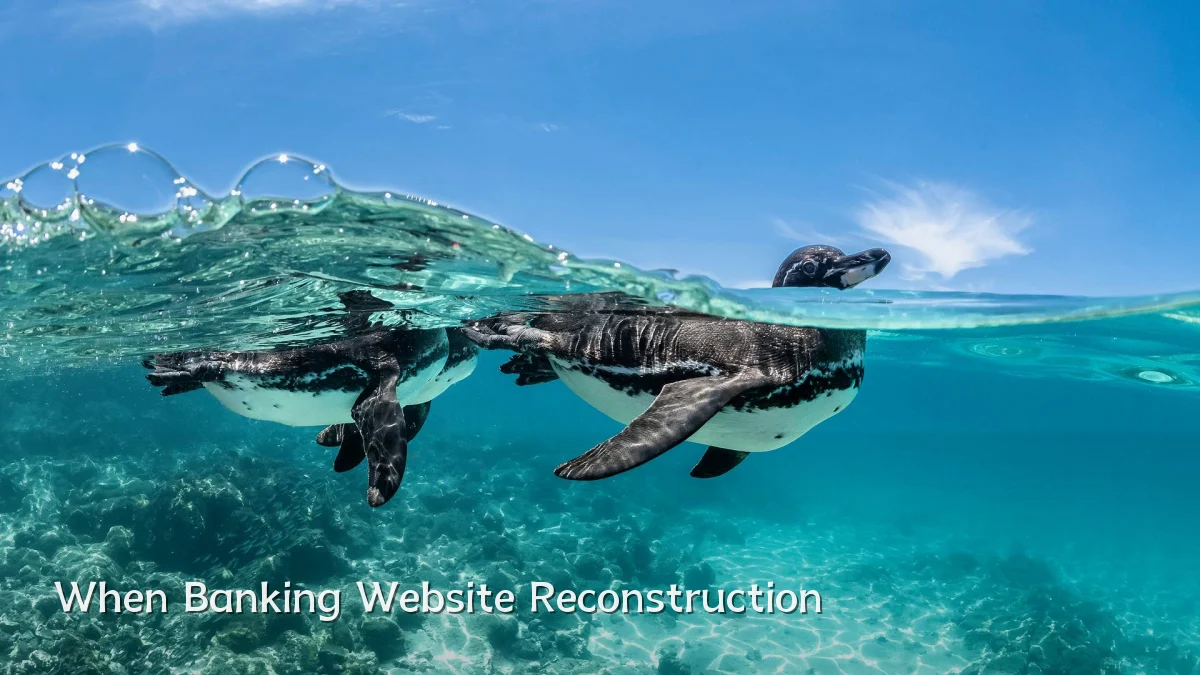 When Banking Website Reconstruction