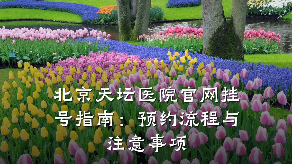 北京天坛医院官网挂号指南：预约流程与注意事项