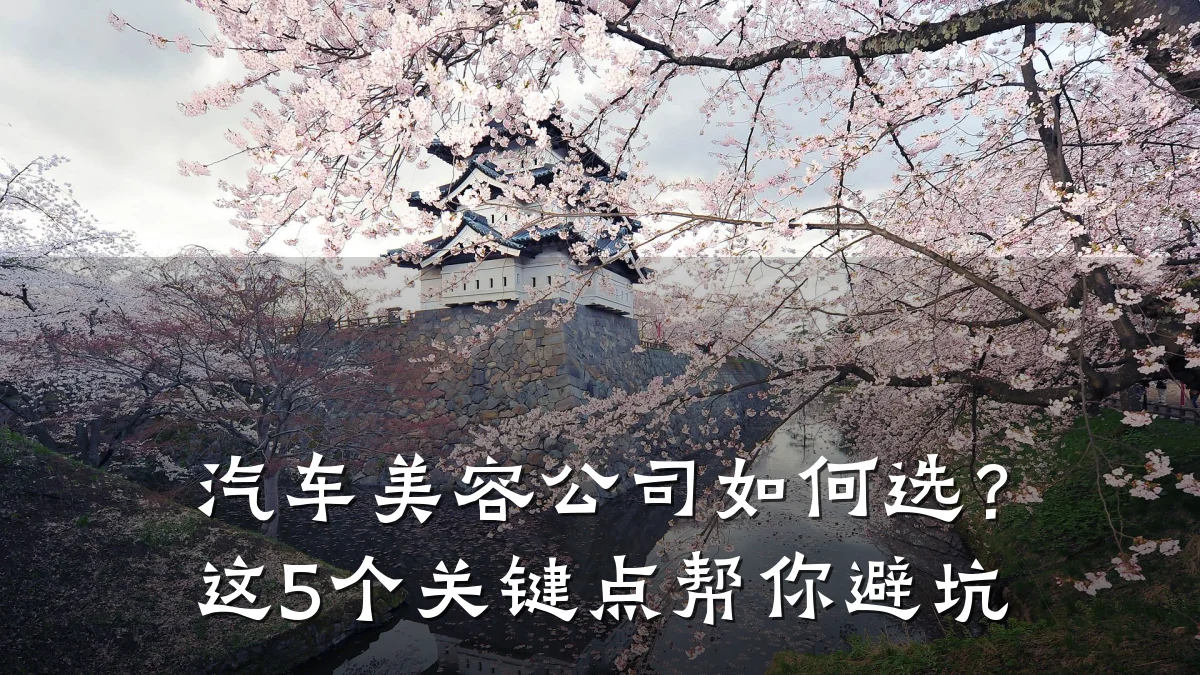 汽车美容公司如何选?这5个关键点帮你避坑