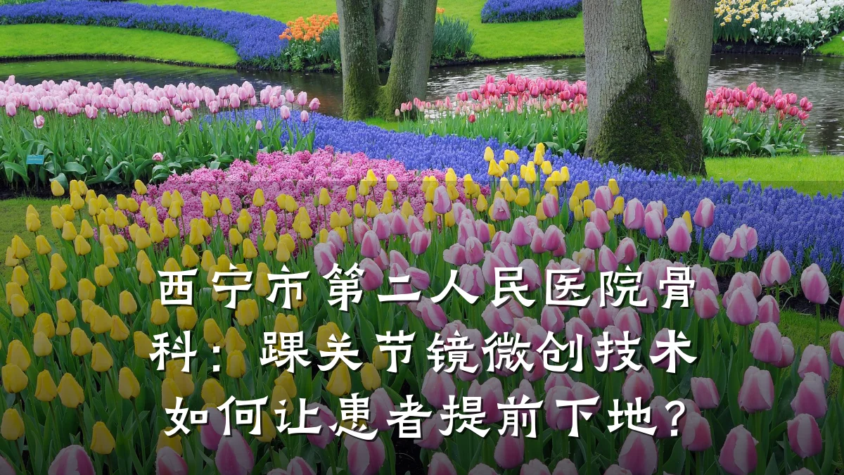 西宁市第二人民医院骨科:踝关节镜微创技术如何让患者提前下地?