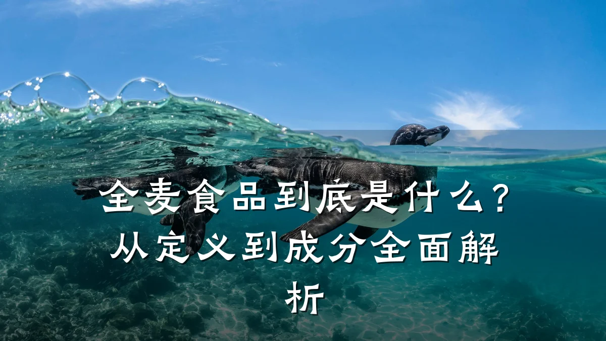 全麦食品到底是什么？从定义到成分全面解析