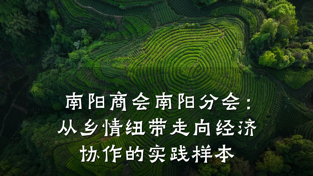 南阳商会南阳分会:从乡情纽带走向经济协作的实践样本