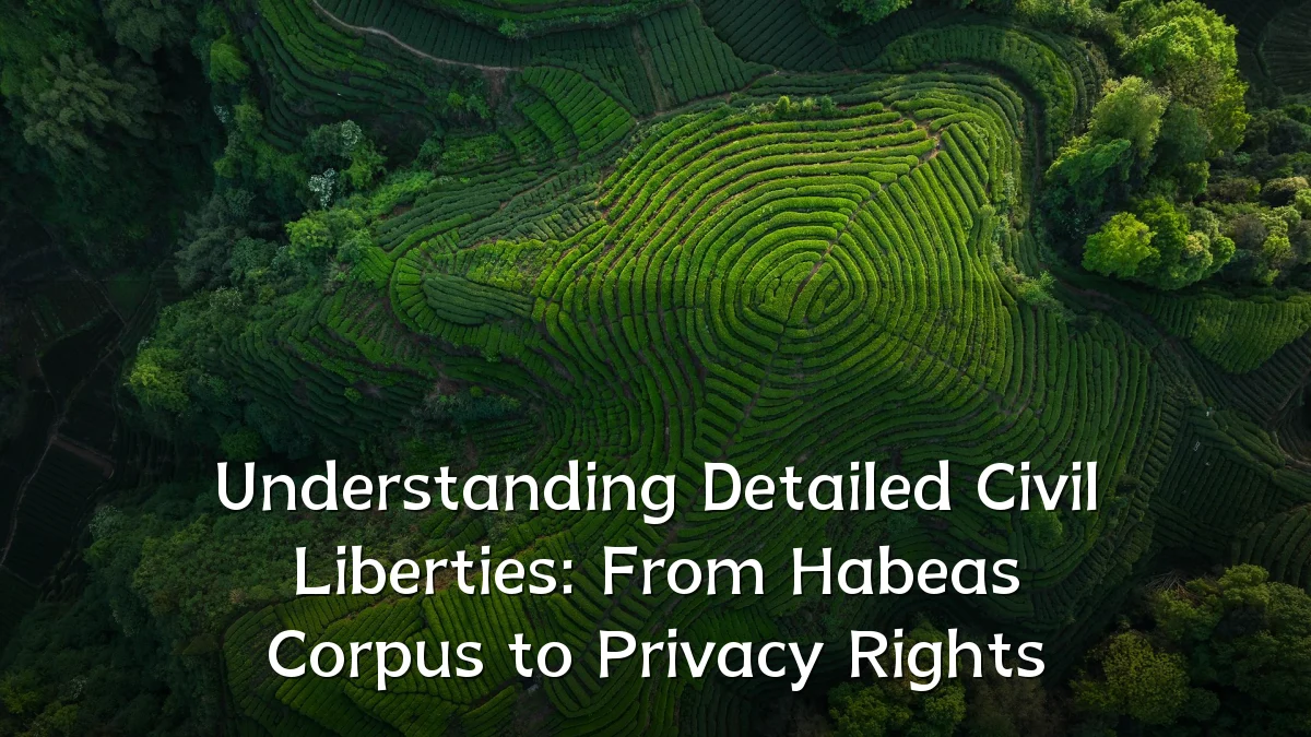 Understanding Detailed Civil Liberties: From Habeas Corpus to Privacy Rights