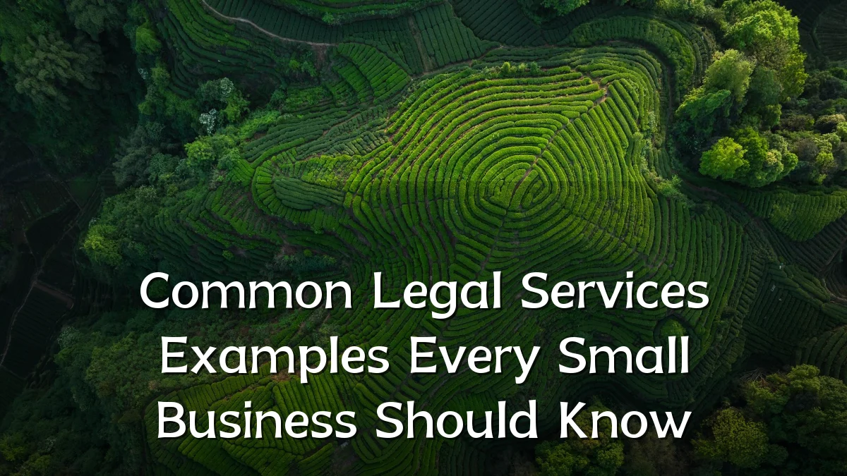 Common Legal Services Examples Every Small Business Should Know