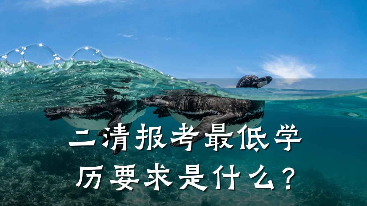 二清报考最低学历要求是什么?