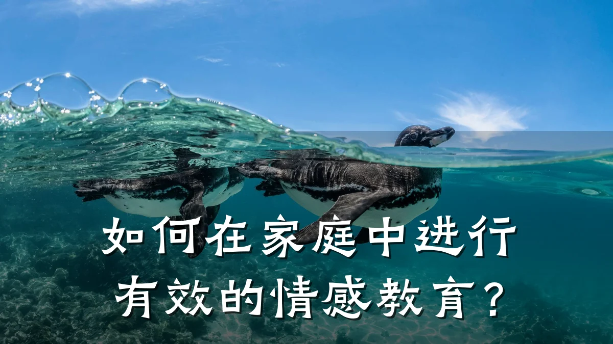 如何在家庭中进行有效的情感教育？