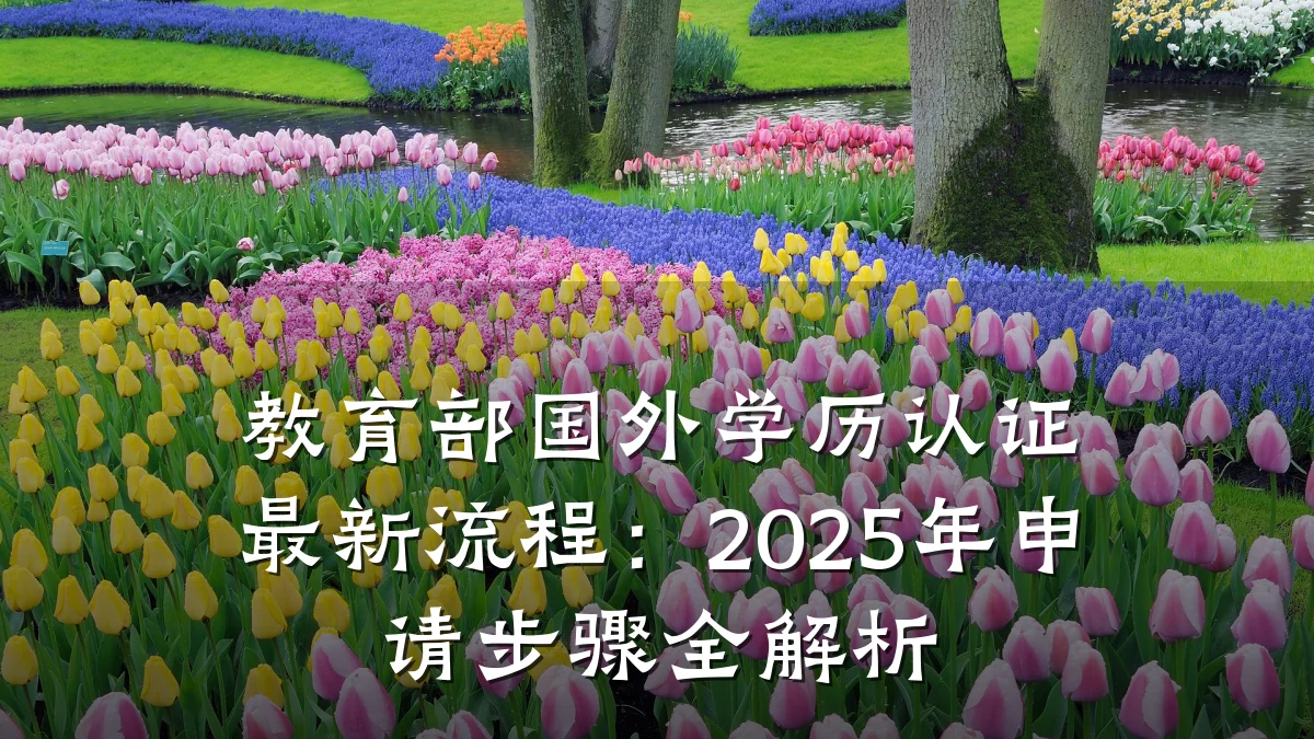 教育部国外学历认证最新流程:2025年申请步骤全解析