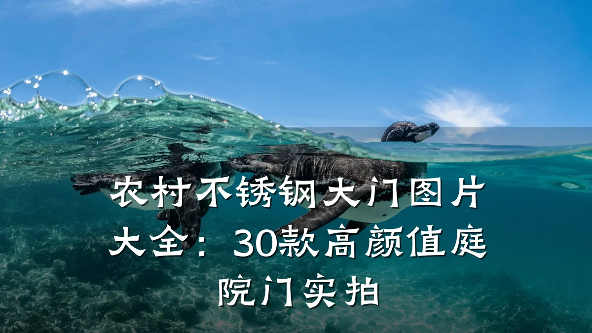 农村不锈钢大门图片大全：30款高颜值庭院门实拍