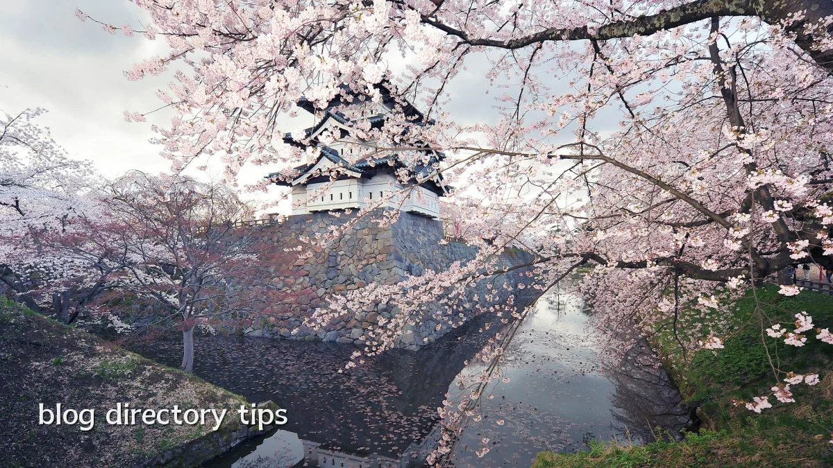 blog directory tips