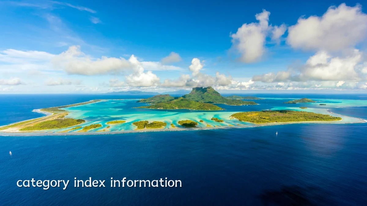 category index information