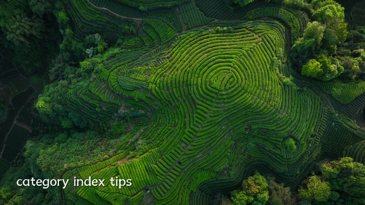 category index tips