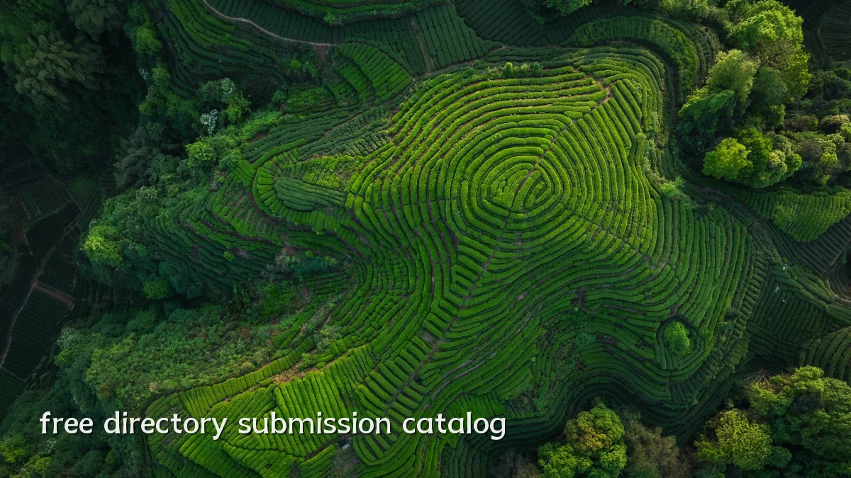 free directory submission catalog