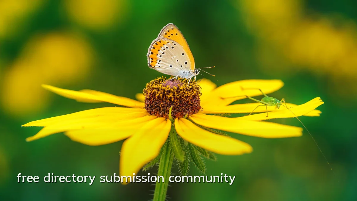 free directory submission community