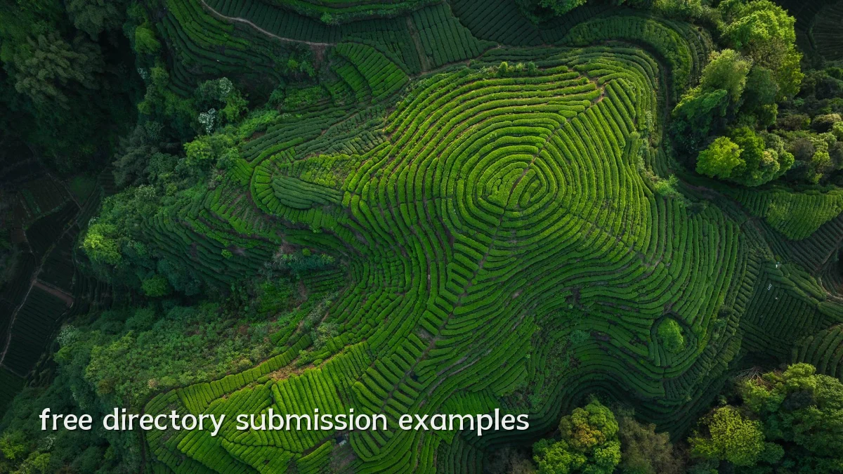 free directory submission examples