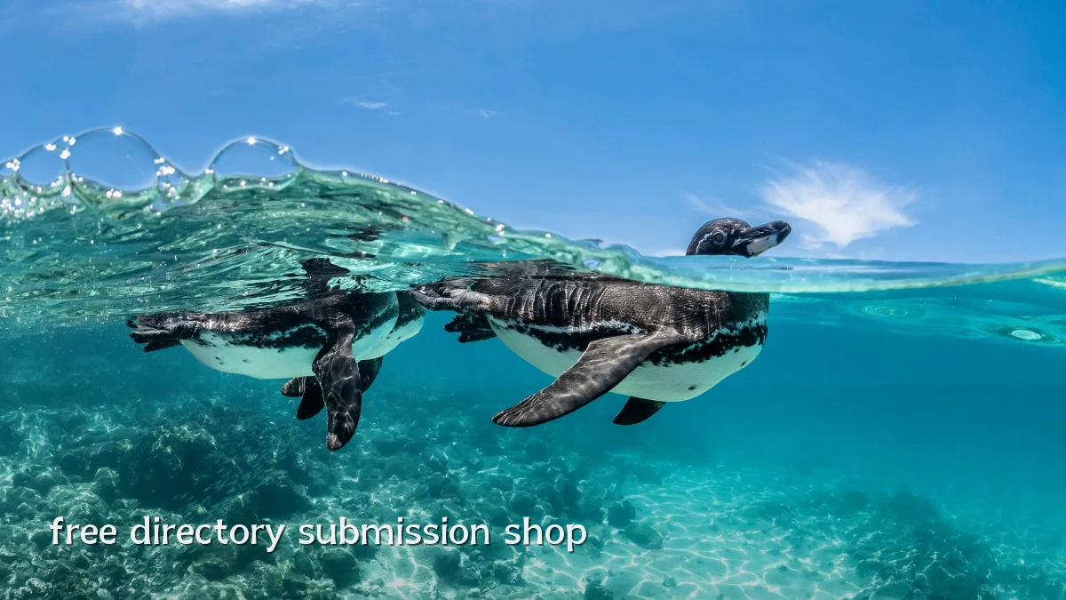 free directory submission shop