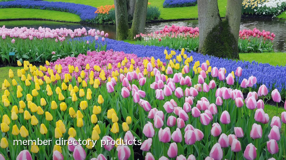 member directory products