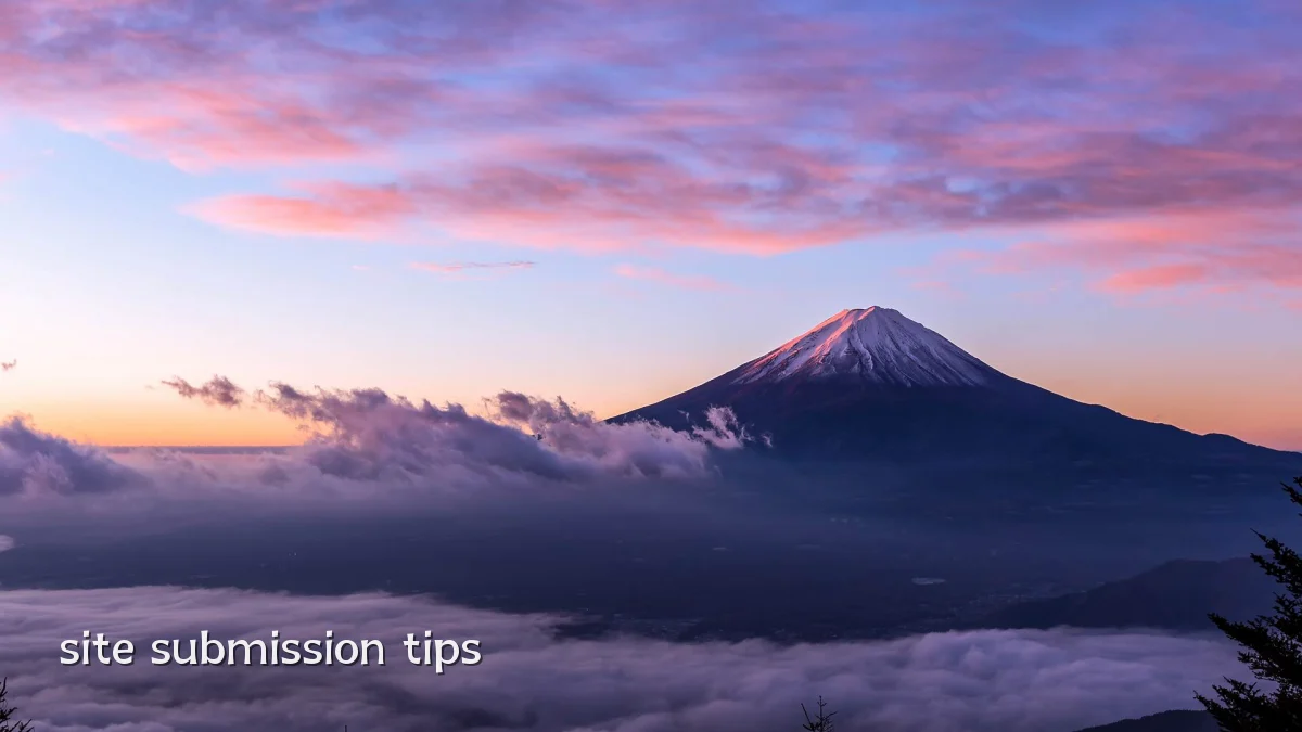 site submission tips