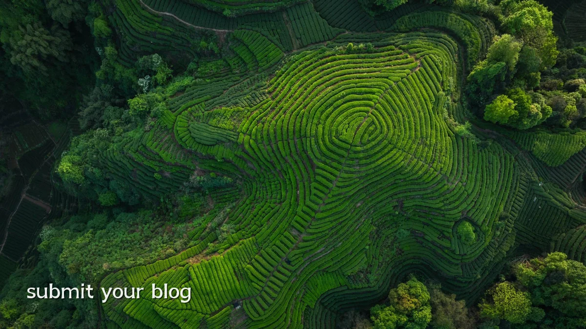 submit your blog