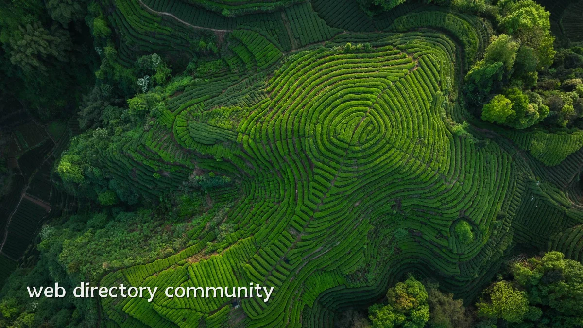 web directory community