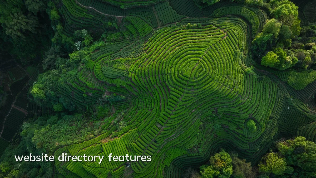 website directory features
