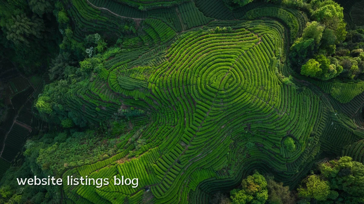 website listings blog