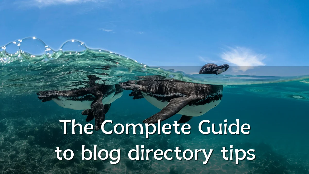 The Complete Guide to blog directory tips