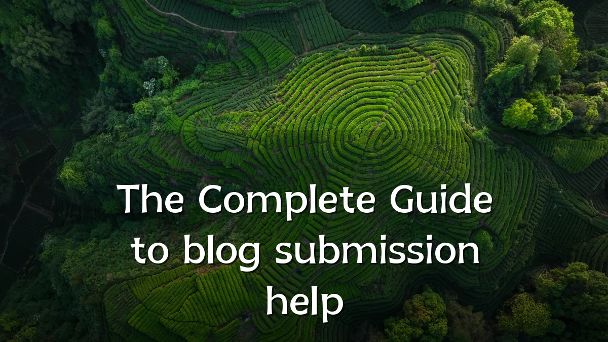 The Complete Guide to blog submission help