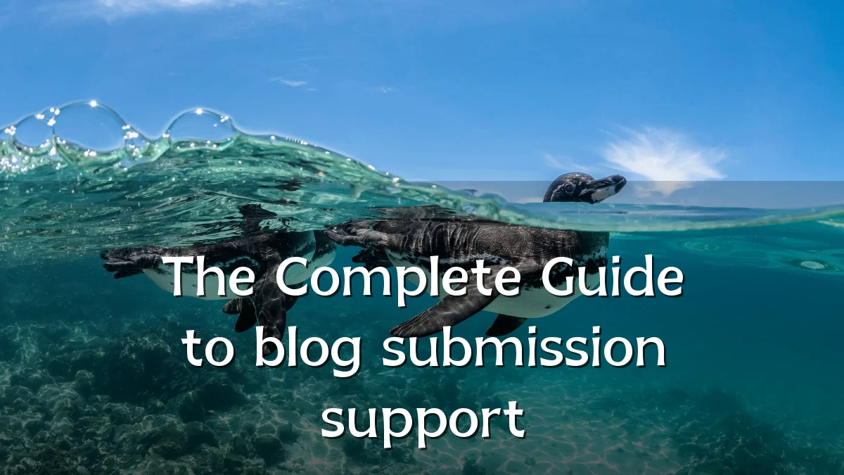 The Complete Guide to blog submission support