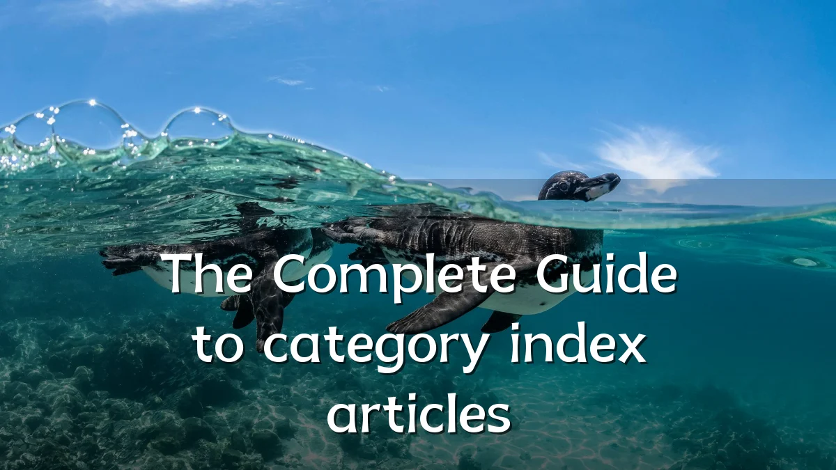 The Complete Guide to category index articles