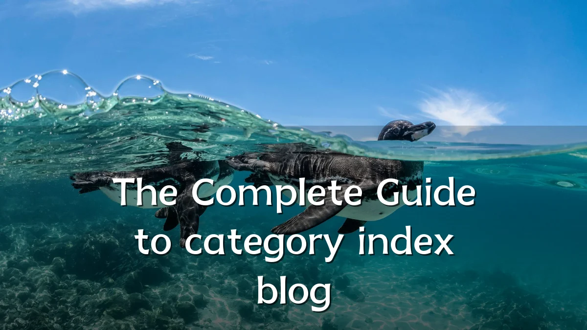 The Complete Guide to category index blog