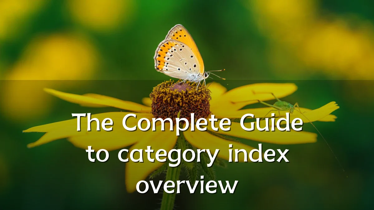 The Complete Guide to category index overview