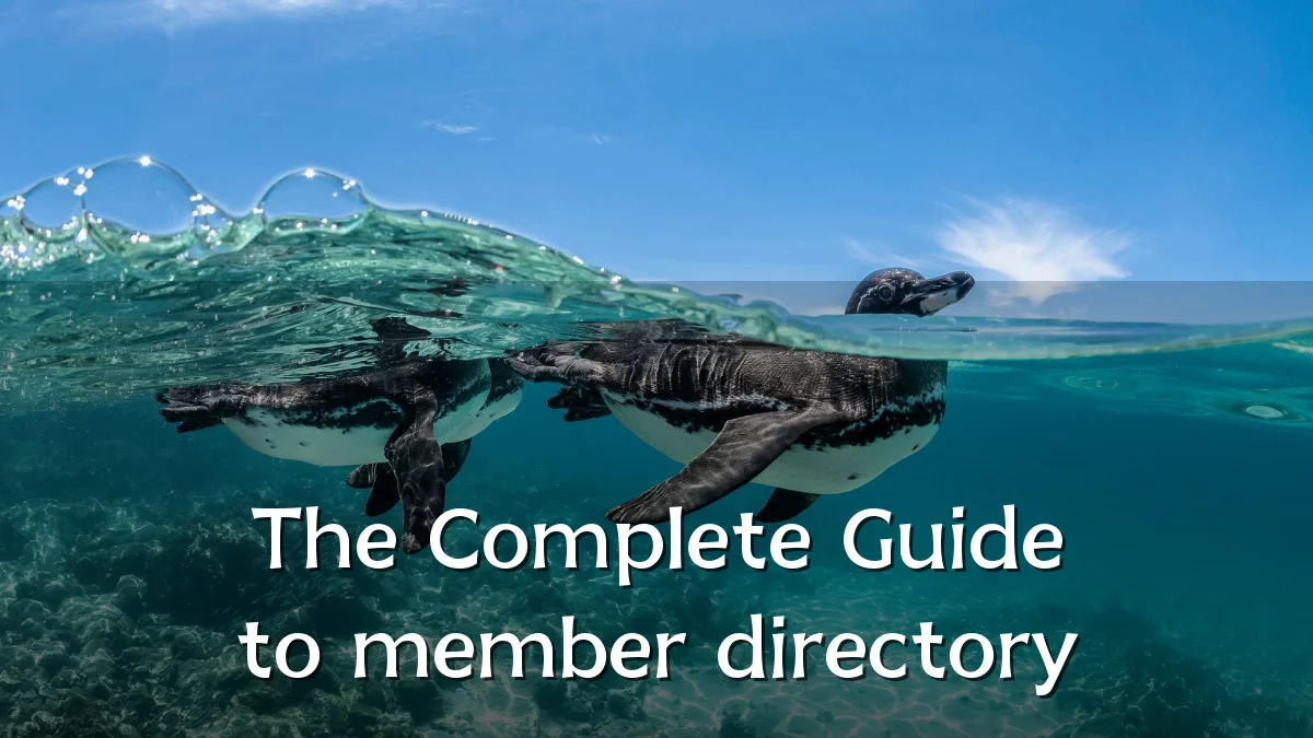 The Complete Guide to member directory