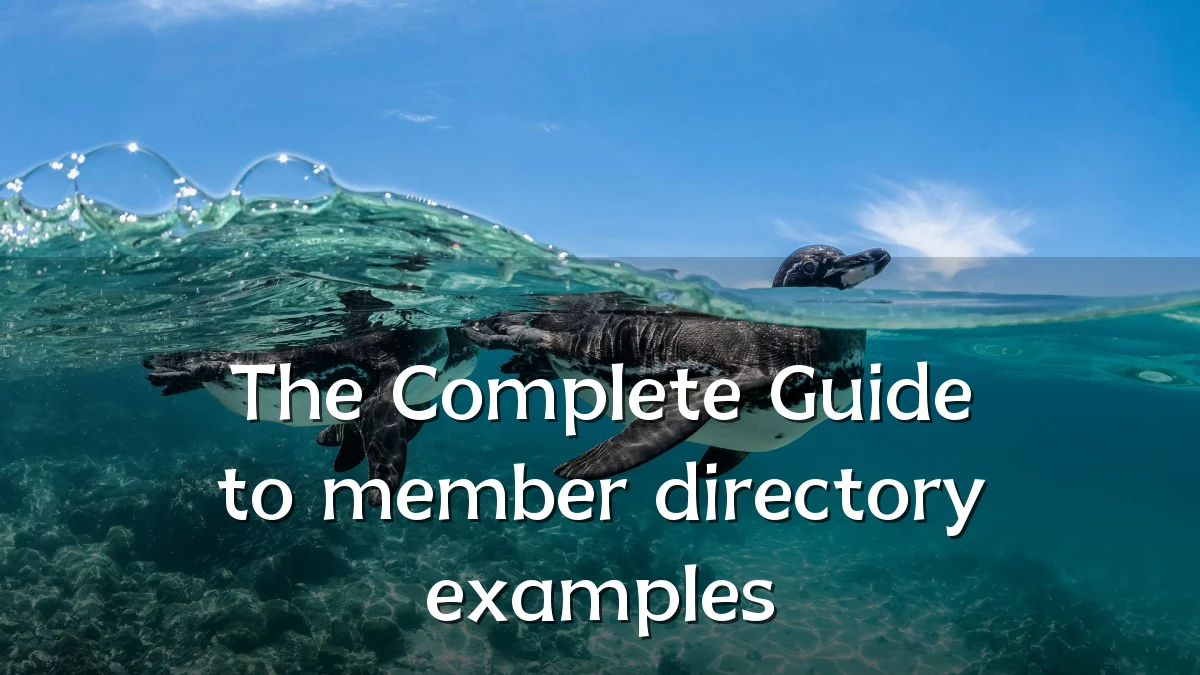 The Complete Guide to member directory examples