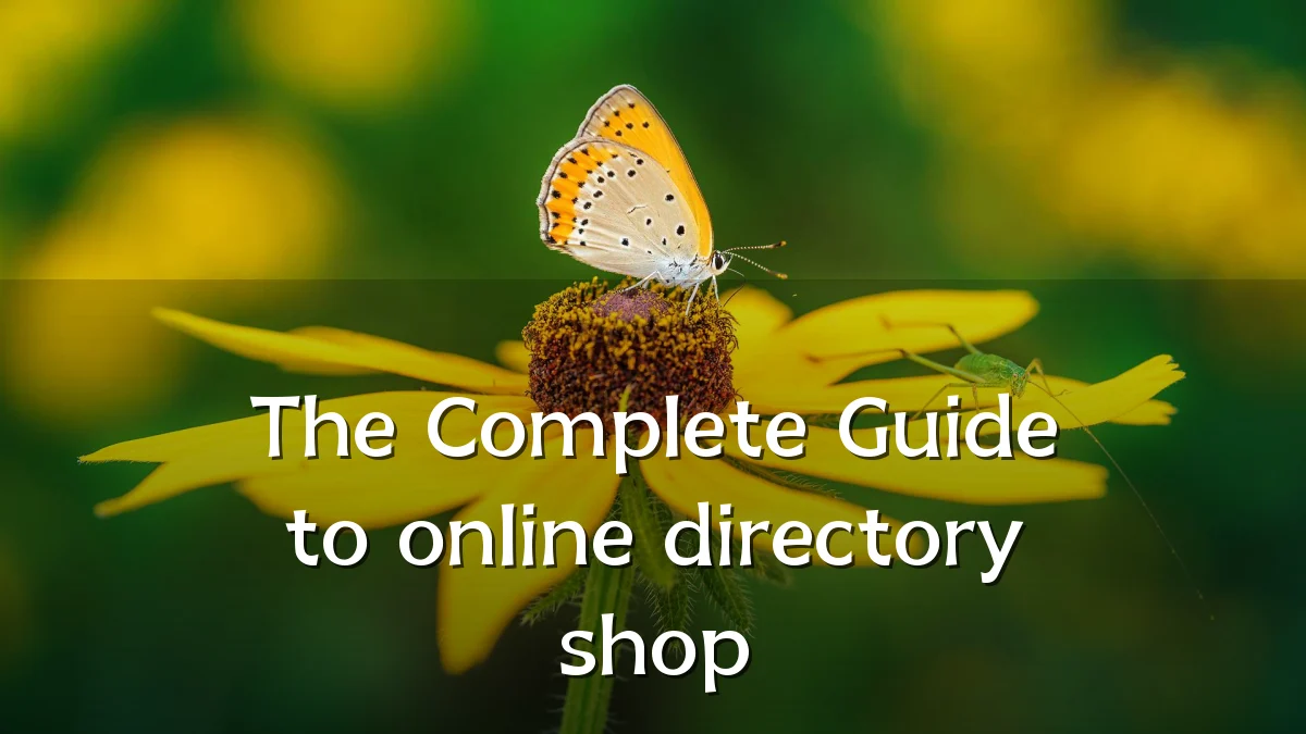 The Complete Guide to online directory shop