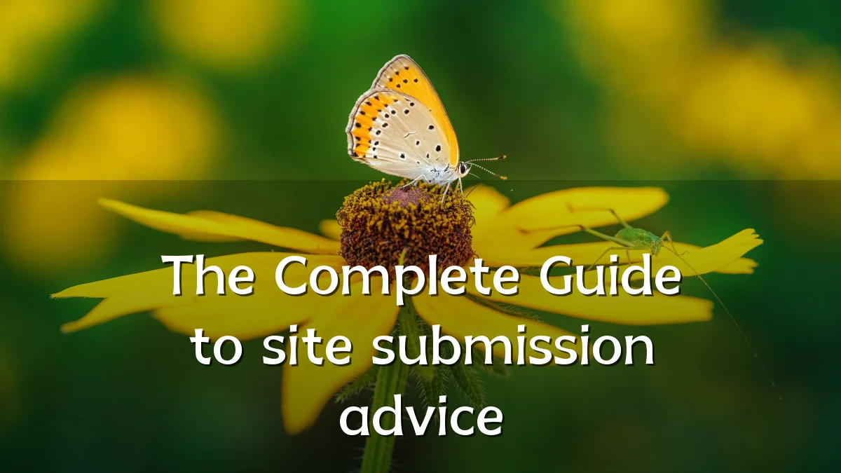 The Complete Guide to site submission advice