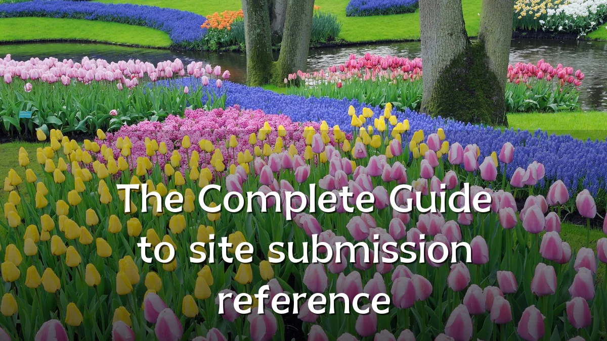 The Complete Guide to site submission reference