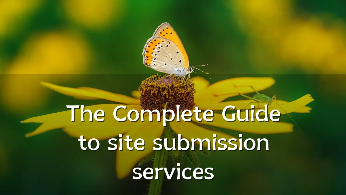The Complete Guide to site submission services