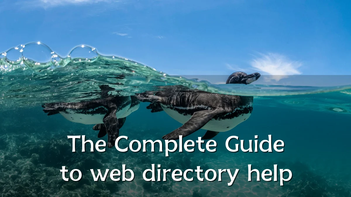 The Complete Guide to web directory help