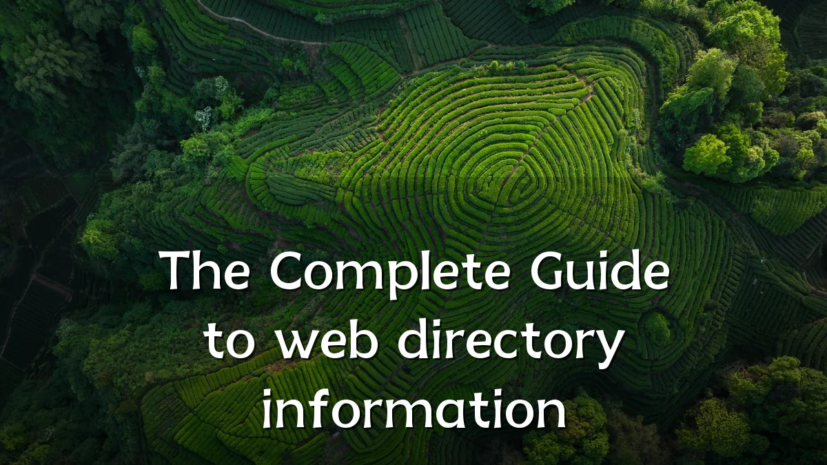 The Complete Guide to web directory information
