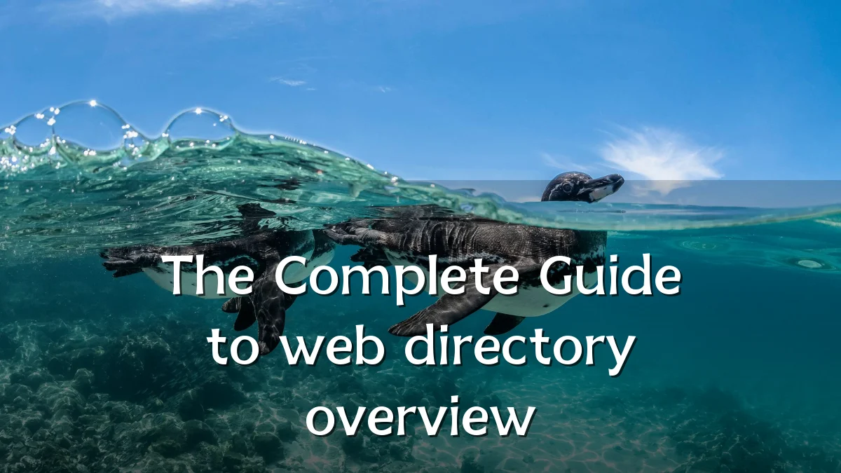 The Complete Guide to web directory overview