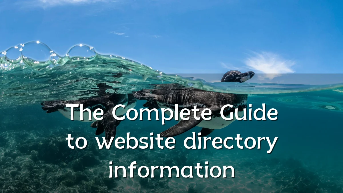 The Complete Guide to website directory information