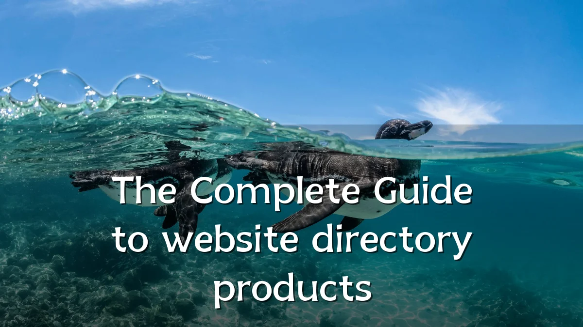 The Complete Guide to website directory products