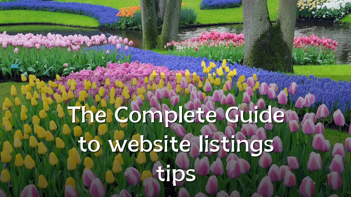The Complete Guide to website listings tips