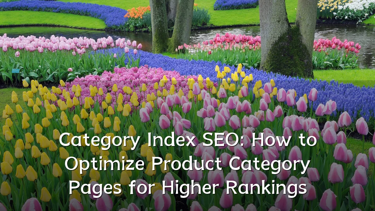 Category Index SEO: How to Optimize Product Category Pages for Higher Rankings