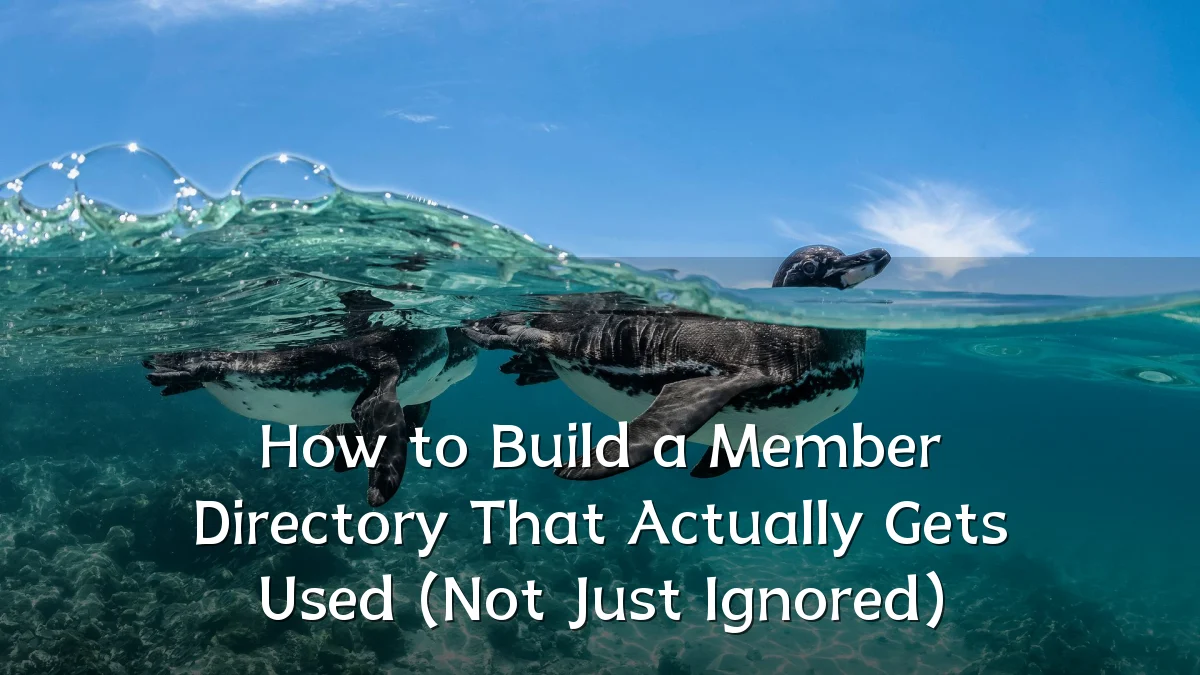 How to Build a Member Directory That Actually Gets Used (Not Just Ignored)