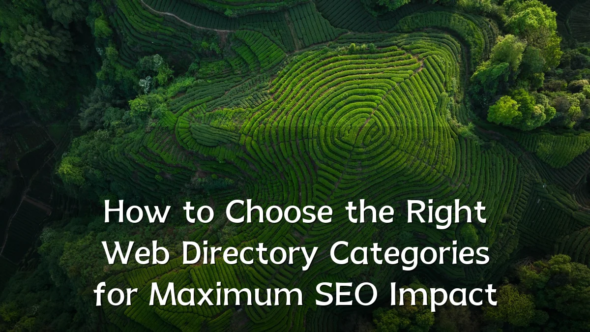 How to Choose the Right Web Directory Categories for Maximum SEO Impact