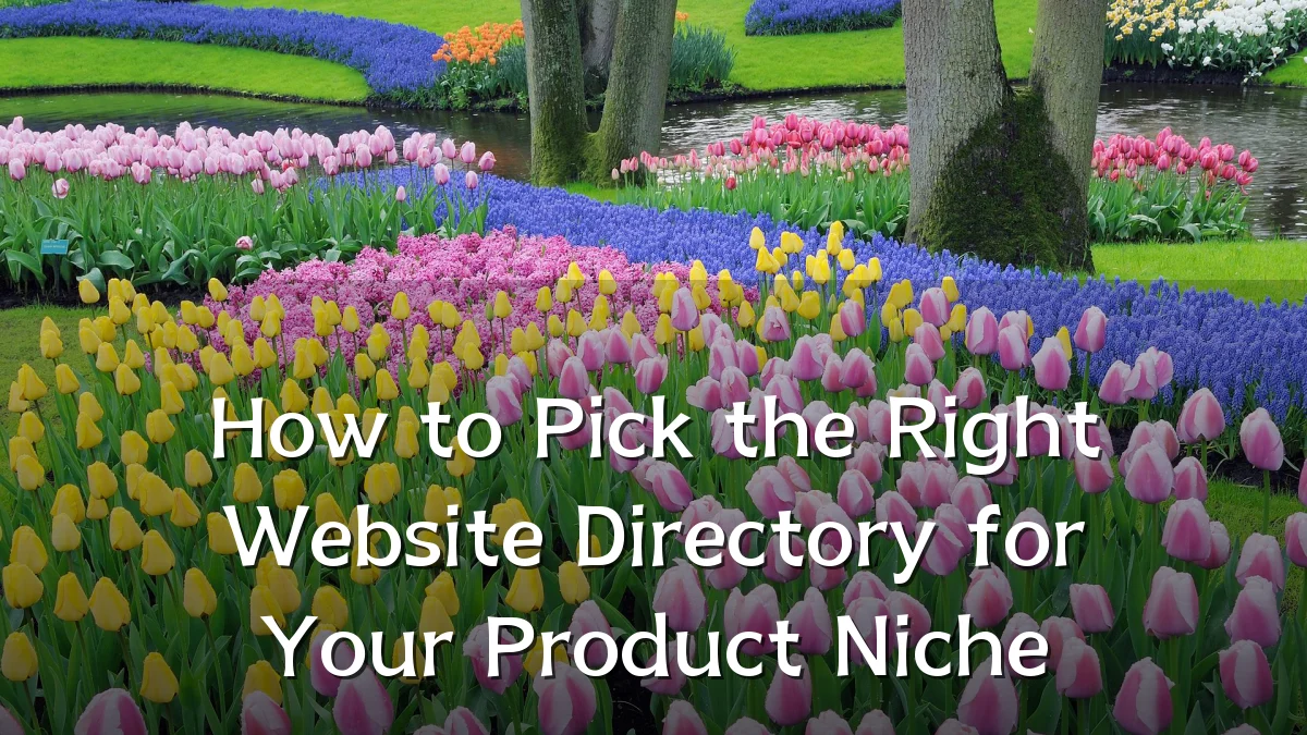 How to Pick the Right Website Directory for Your Product Niche