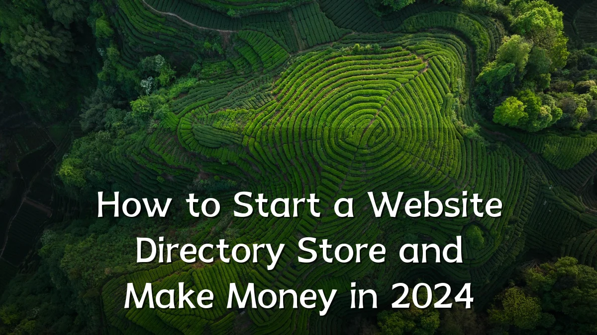 How to Start a Website Directory Store and Make Money in 2024