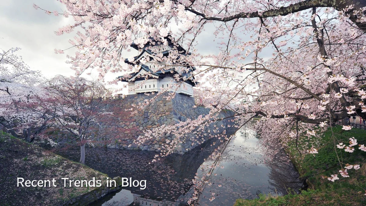 Recent Trends in Blog
