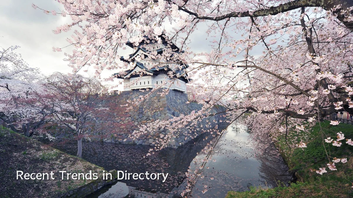 Recent Trends in Directory